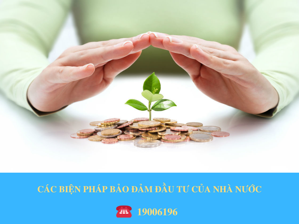 CÁC BIỆN PHÁP BẢO ĐẢM ĐẦU TƯ CỦA NHÀ NƯỚC