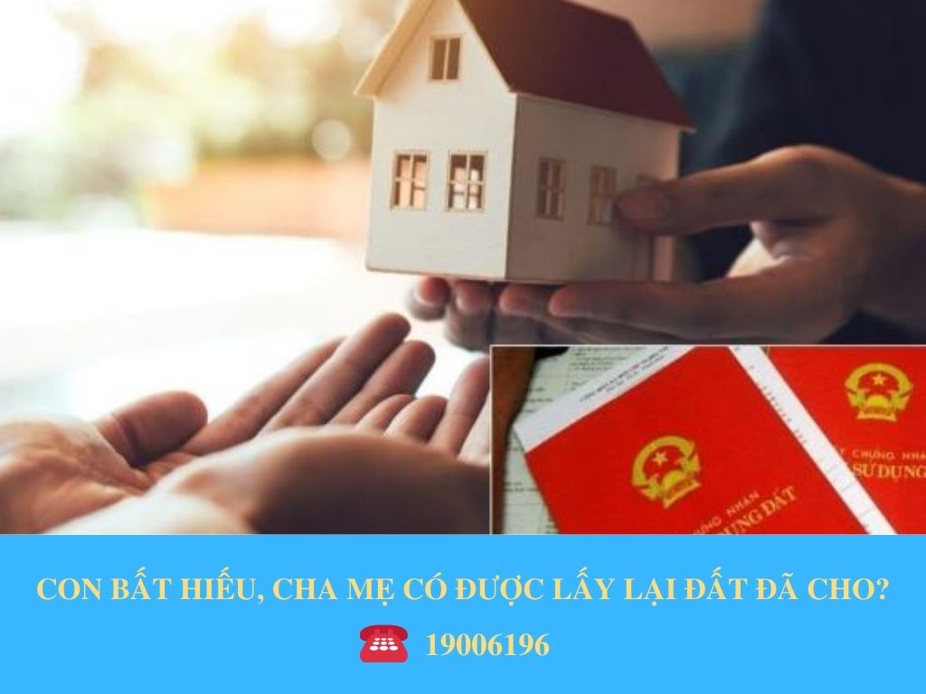 CON BẤT HIẾU, CHA MẸ CÓ ĐƯỢC LẤY LẠI ĐẤT ĐÃ CHO?