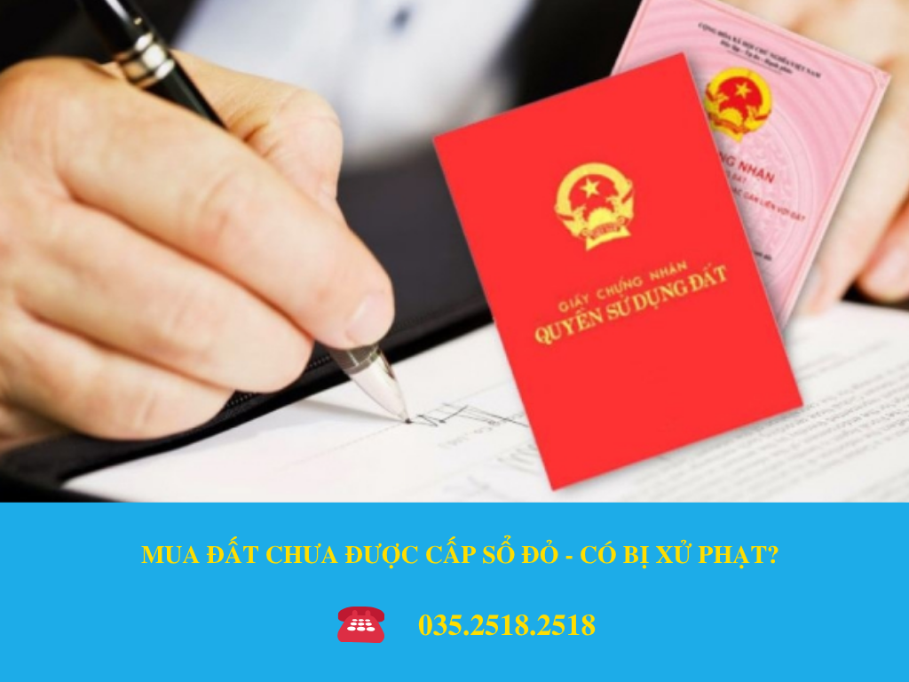 MUA ĐẤT CHƯA ĐƯỢC CẤP SỔ ĐỎ - CÓ BỊ XỬ PHẠT?