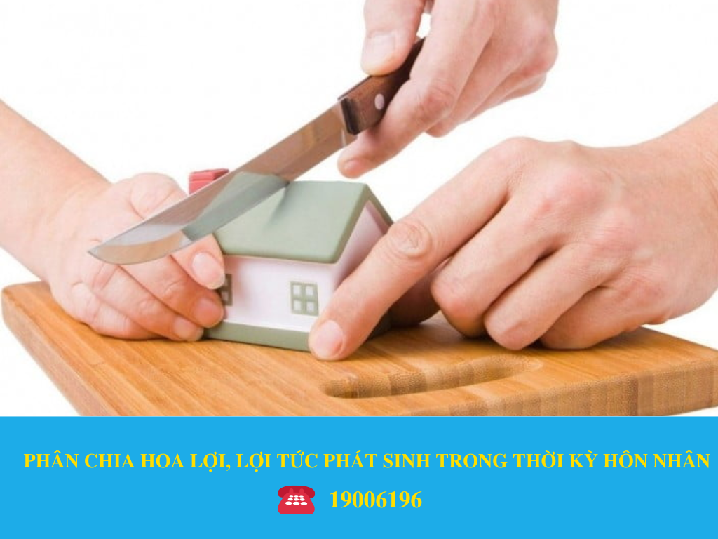 PHÂN CHIA HOA LỢI, LỢI TỨC PHÁT SINH TRONG THỜI KỲ HÔN NHÂN
