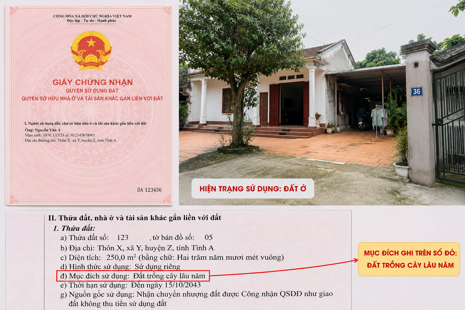QUY ĐỊNH MỚI VỀ XỬ PHẠT VI PHẠM HÀNH CHÍNH TRONG LĨNH VỰC ĐẤT ĐAI TRƯỚC NGÀY 31/8/2026: NHỮNG TRƯỜNG HỢP ĐƯỢC ÁP DỤNG QUY ĐỊNH CÓ LỢI