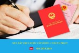 MUA ĐẤT CHƯA ĐƯỢC CẤP SỔ ĐỎ - CÓ BỊ XỬ PHẠT?